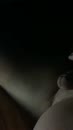 Gasgeven, film 00:00:20, 2 reacties, 13 stemmen