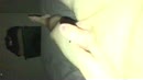 Gay chubby 23 geil!, film 00:00:03, 8 reacties, 12 stemmen