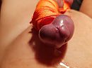 Gebonden, foto 4000x3000, 4 reacties, 6 stemmen