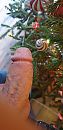 Geile kerst iedereen!, foto 1944x4000, 0 reacties, 4 stemmen
