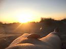 Geniet van de ondergaande zon, foto 3264x2448, 0 reacties, 3 stemmen