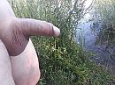 Genieten in de natuur, foto 4000x3000, 4 reacties, 14 stemmen
