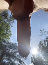 Genieten van het zonnetje, foto 2316x3088, 1 reacties, 12 stemmen