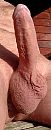 Genieten, foto 1567x3962, 16 reacties, 39 stemmen