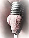 Geringd close up., foto 2809x3602, 3 reacties, 9 stemmen