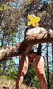 Gewandeld, foto 1012x1670, 5 reacties, 42 stemmen