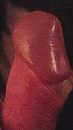Gewoon lekker, foto 1080x1920, 5 reacties, 16 stemmen