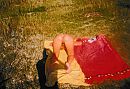Gluurder 3, foto 1633x1130, 13 reacties, 92 stemmen