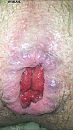 Goed opgerekt., foto 750x1334, 4 reacties, 5 stemmen