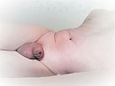 Goede morgen., foto 2576x1932, 3 reacties, 5 stemmen