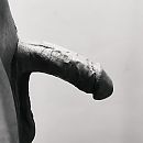 Goede morgen alweer, foto 2250x2250, 4 reacties, 12 stemmen