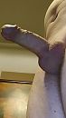 Goede morgen, foto 695x1228, 2 reacties, 4 stemmen