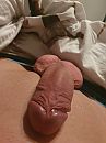 Goedemorgen., foto 3000x4000, 2 reacties, 11 stemmen