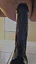Groot genoeg?, foto 750x1334, 2 reacties, 12 stemmen