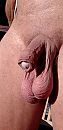 Hangballen, foto 1944x4000, 12 reacties, 32 stemmen