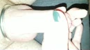 Happy Easter to all!, film 00:00:10, 31 reacties, 155 stemmen