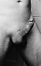 Hard en geil..., foto 2511x4000, 1 reacties, 6 stemmen