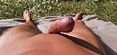 Hard en glad, foto 4000x1892, 0 reacties, 10 stemmen