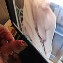 Harmar, foto 1280x1280, 0 reacties, 7 stemmen