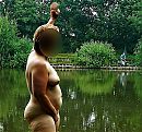 He hallo je hebt beet, foto 723x679, 3 reacties, 41 stemmen