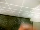 Heerlijk spuiten, film 00:00:27, 5 reacties, 21 stemmen