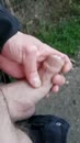 Heerlijke avond wandelingen, film 00:00:00, 2 reacties, 26 stemmen