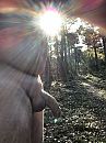 Heerlijke herfst wandeling, foto 2320x3088, 4 reacties, 19 stemmen