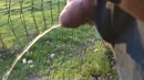 Herfst en zon, film 00:00:27, 7 reacties, 8 stemmen