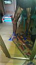 Hi, foto 1134x2016, 7 reacties, 9 stemmen
