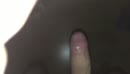 Hmmmm voo Lekkor!, film 00:00:25, 13 reacties, 31 stemmen