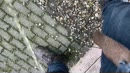 Hoge nood buiten, film 00:00:28, 34 reacties, 73 stemmen