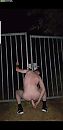 Hou van buiten geneukt te word, foto 1080x2220, 1 reacties, 11 stemmen