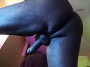 Hump day! hump away :P, foto 1181x886, 0 reacties, 10 stemmen