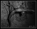 I'am a Gymnast, foto 1119x872, 5 reacties, 17 stemmen