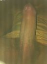 Ik stond zo fucking hard!!!, foto 1936x2592, 7 reacties, 19 stemmen