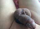 Ik, foto 2592x1936, 2 reacties, 3 stemmen