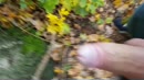 In de herfst bosjes geilen, film 00:00:00, 4 reacties, 21 stemmen