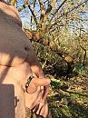In bos 2, foto 960x1280, 6 reacties, 21 stemmen