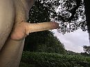 In de schemer in de regen, foto 4000x3000, 2 reacties, 15 stemmen