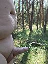 In het bos, foto 2320x3088, 12 reacties, 22 stemmen