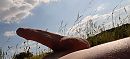 Erectie op naaktstrand, foto 3296x1520, 3 reacties, 10 stemmen