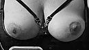 Jingle..., foto 768x434, 11 reacties, 79 stemmen