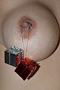 Kerst 2020-7, foto 2659x4000, 4 reacties, 32 stemmen