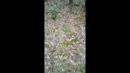 Kijk een wie we daar hebben, film 00:00:00, 4 reacties, 23 stemmen