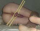 Knopenn, foto 2363x1816, 2 reacties, 19 stemmen