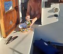 Kom.je nou eten of gaan we ..., foto 3456x2986, 6 reacties, 45 stemmen