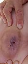 Kont, foto 1472x3264, 5 reacties, 11 stemmen