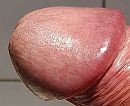 Kopje, foto 3173x2592, 1 reacties, 1 stemmen