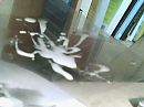 Kunst, foto 640x480, 3 reacties, 7 stemmen