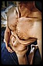 Laat je pik, foto 2115x3264, 4 reacties, 16 stemmen